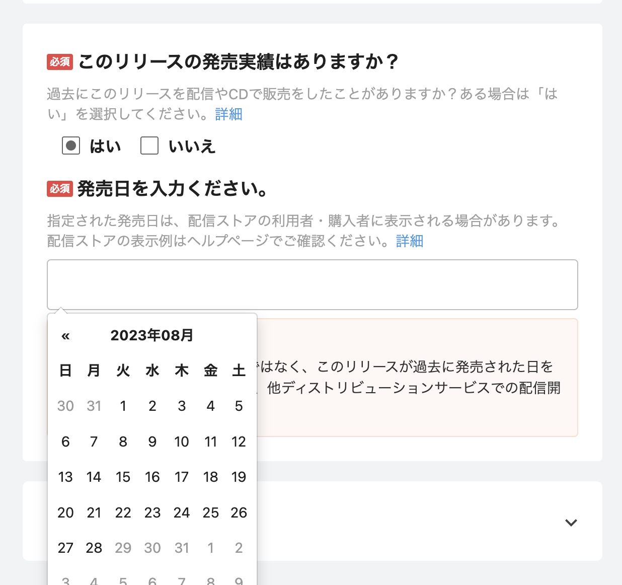 販売日入力例.png